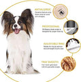 Professional Dog Grooming Kit