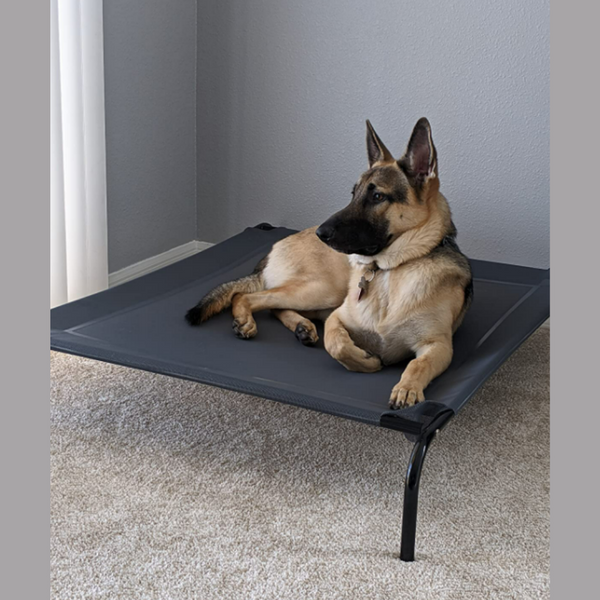 Outdoor Elevated Dog Bed - 49in Pet Dog Beds GREY #ns23 _mkpt