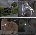 NEW Cat Harness,Leash and Collar Set, Escape Proof Kitten Vest Harness for Walking