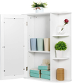 Medicine Cabinet with Mirror Bathroom Cabinet with 2 Adjustable Interior Shelves Organizer _mkpt44